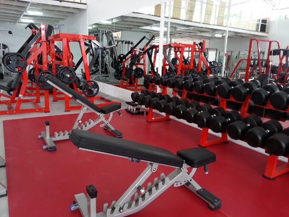 elite gym and fitness samui